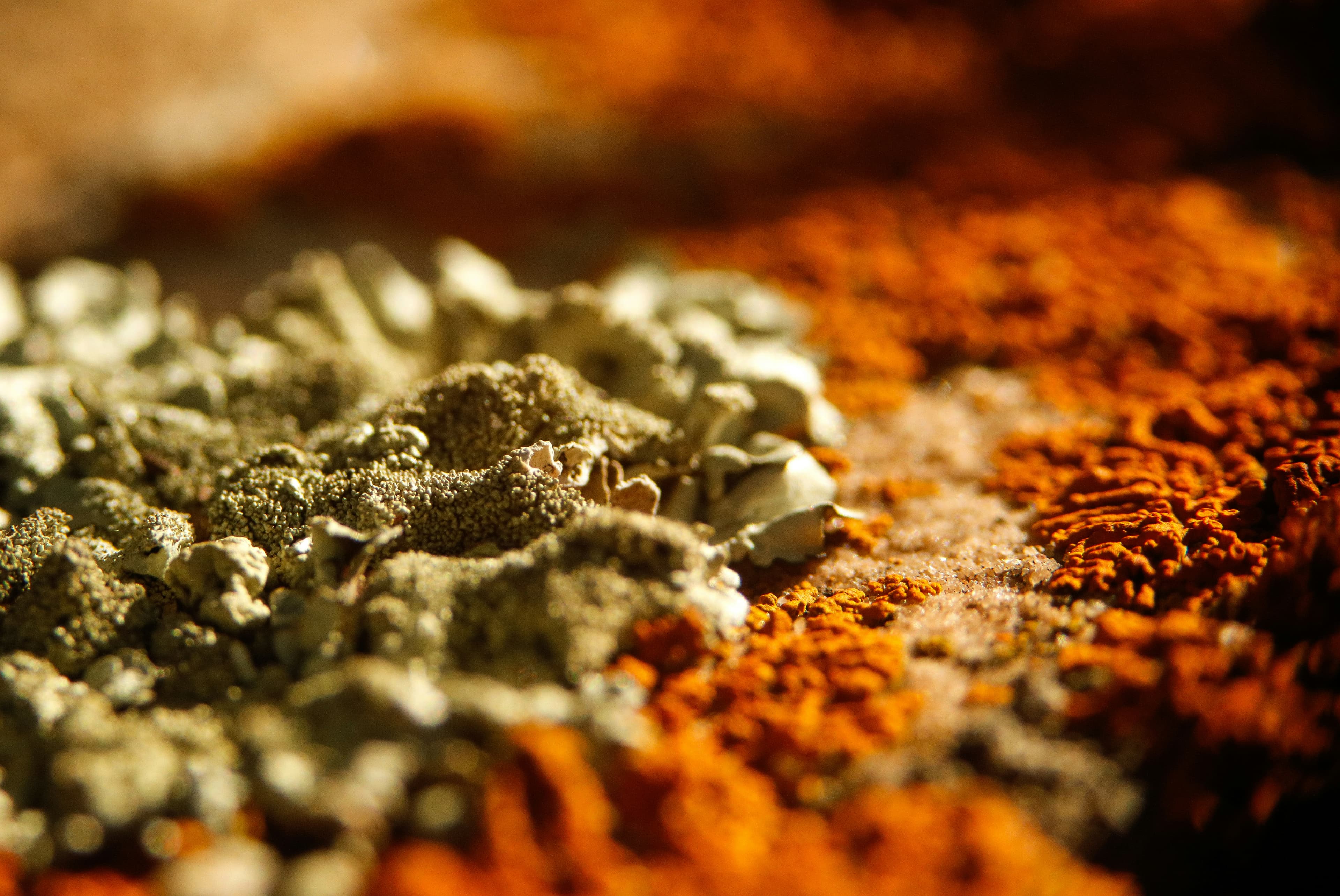 Minerals background