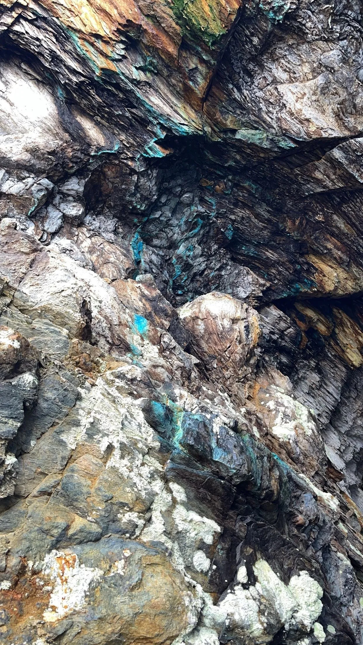 Copper mineral samples from exploration