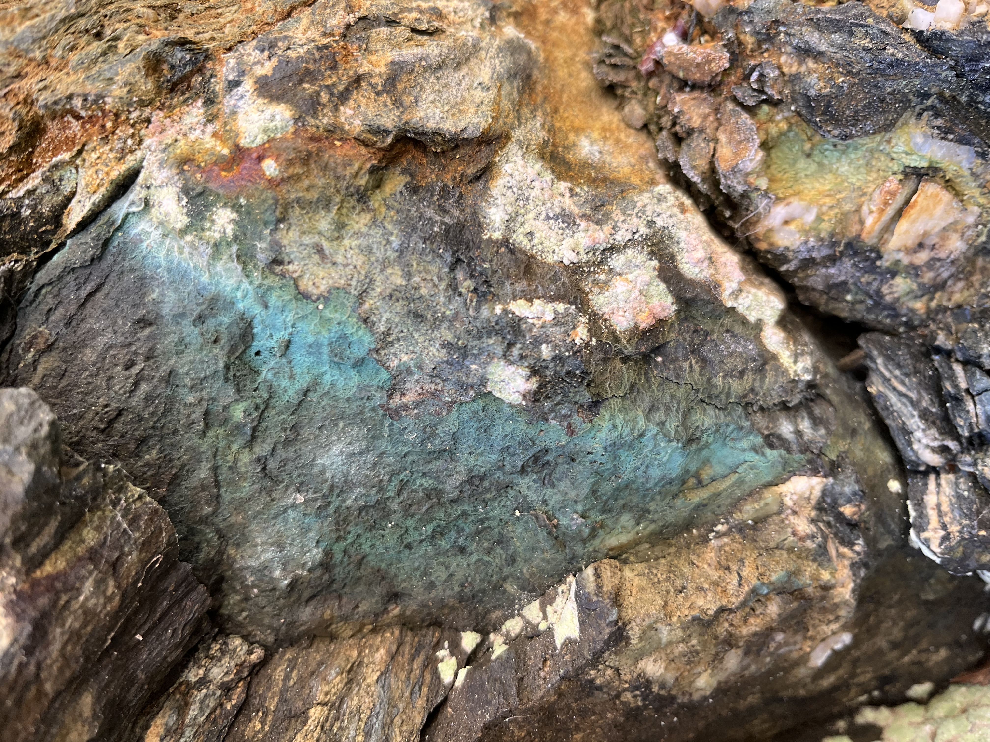 High-grade copper mineral samples from exploration