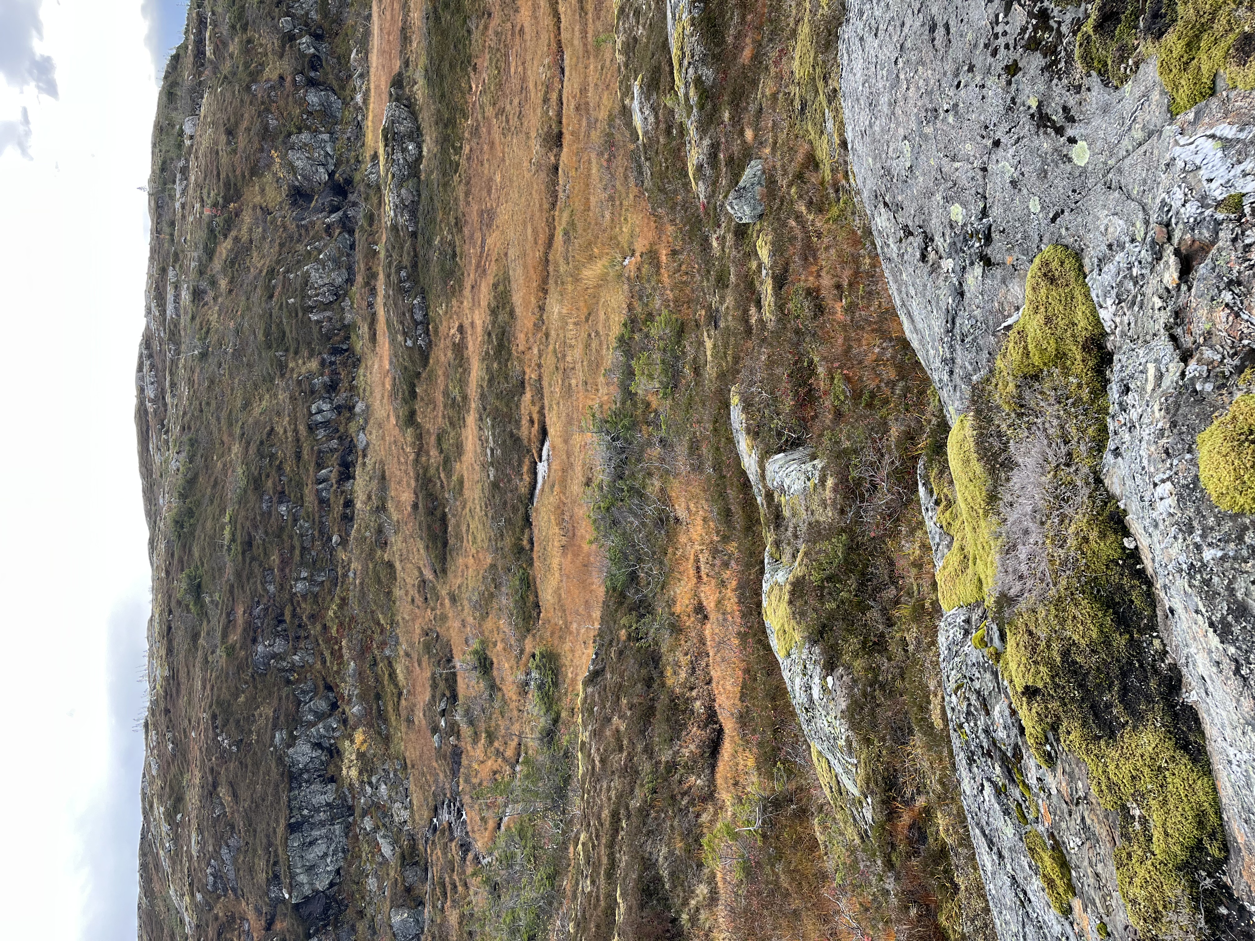 Gaulstad/Mokk - Image 2